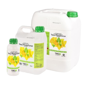 Teca Phosphorus 3-30-0