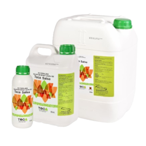 Teca Salsa