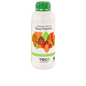 Teca Potasho